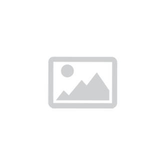 中文