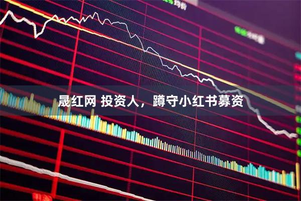 晟红网 投资人,蹲守小红书募资