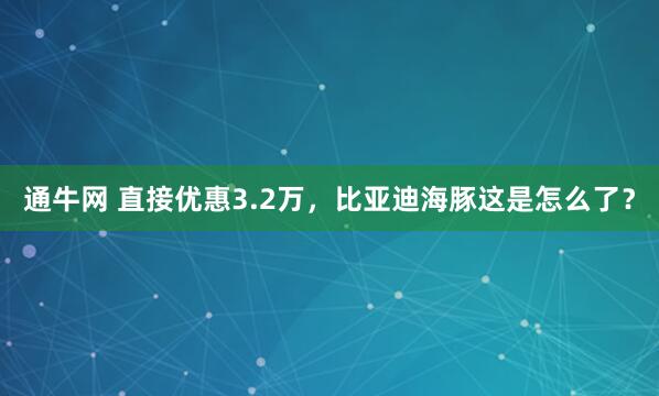 通牛网 直接优惠3.2万，比亚迪海豚这是怎么了？